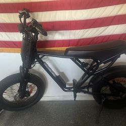 Ridstar Q20 E-bike