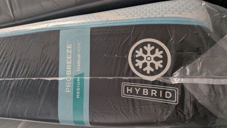 Probreeze medium hybrid