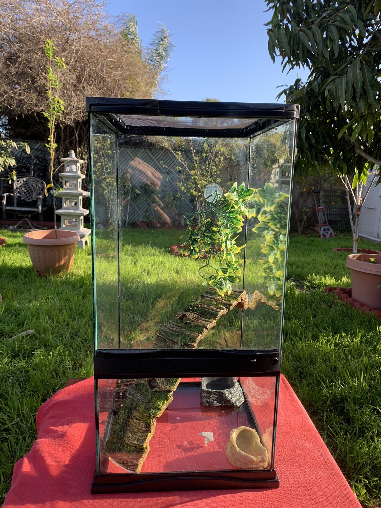 Crested Gecko Tank / Reptile Tank / Vertical Reptile Tank