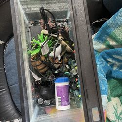 5 Gallon Tank 