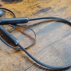 Beats Flex Wireless Earphones