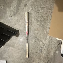 CatX2 bat