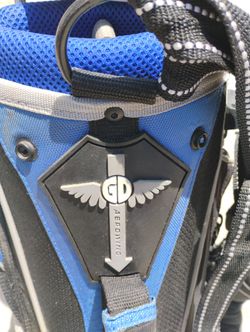 Golf Bag. Some Balls .