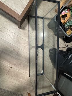 55 gallon aquarium