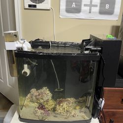 Biocube 32 Reef Tank With Upgrades