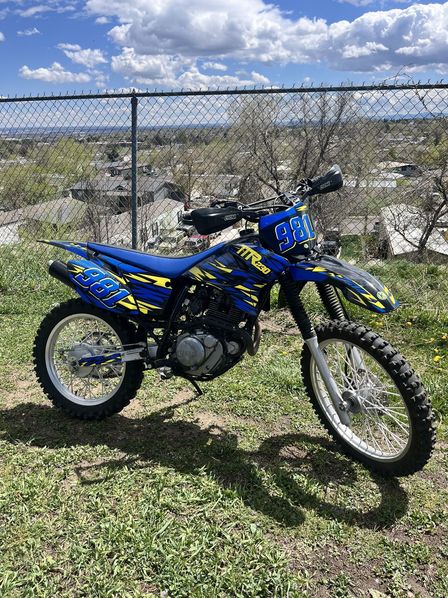 2022 Yamaha Ttr230