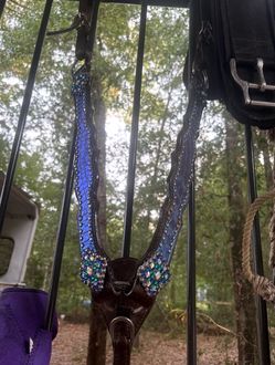 Horse Breast Collar + headstall
