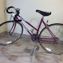 Schwinn Ladies 10 Speed Bike Pink 