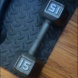 15 lb dumbbell