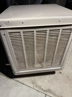 Swamp cooler champion