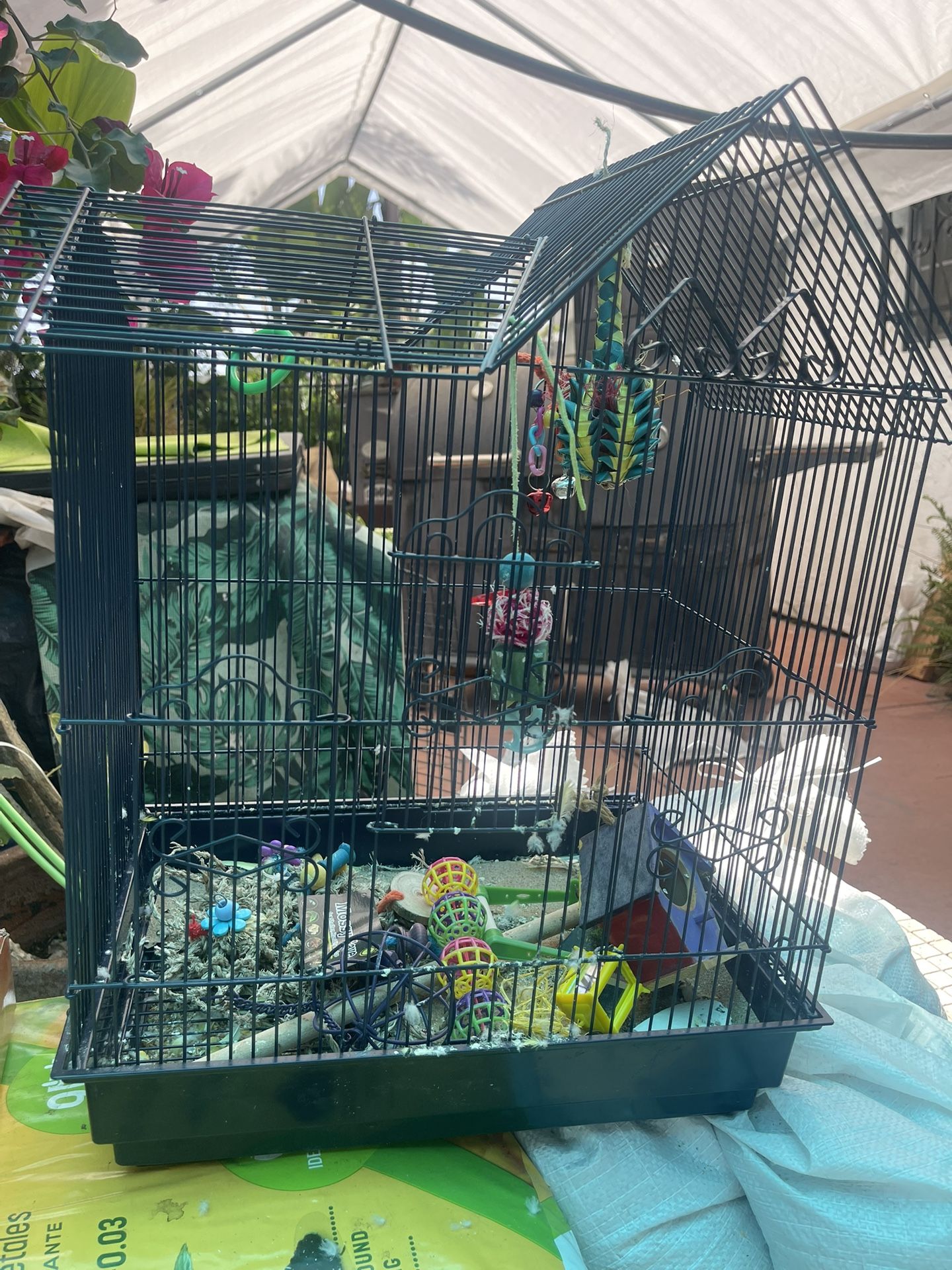 Bird Cage