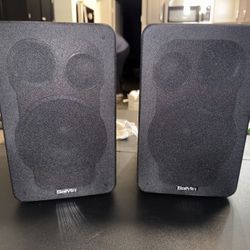 Saiyin Bluetooth Bookshelf Speakers