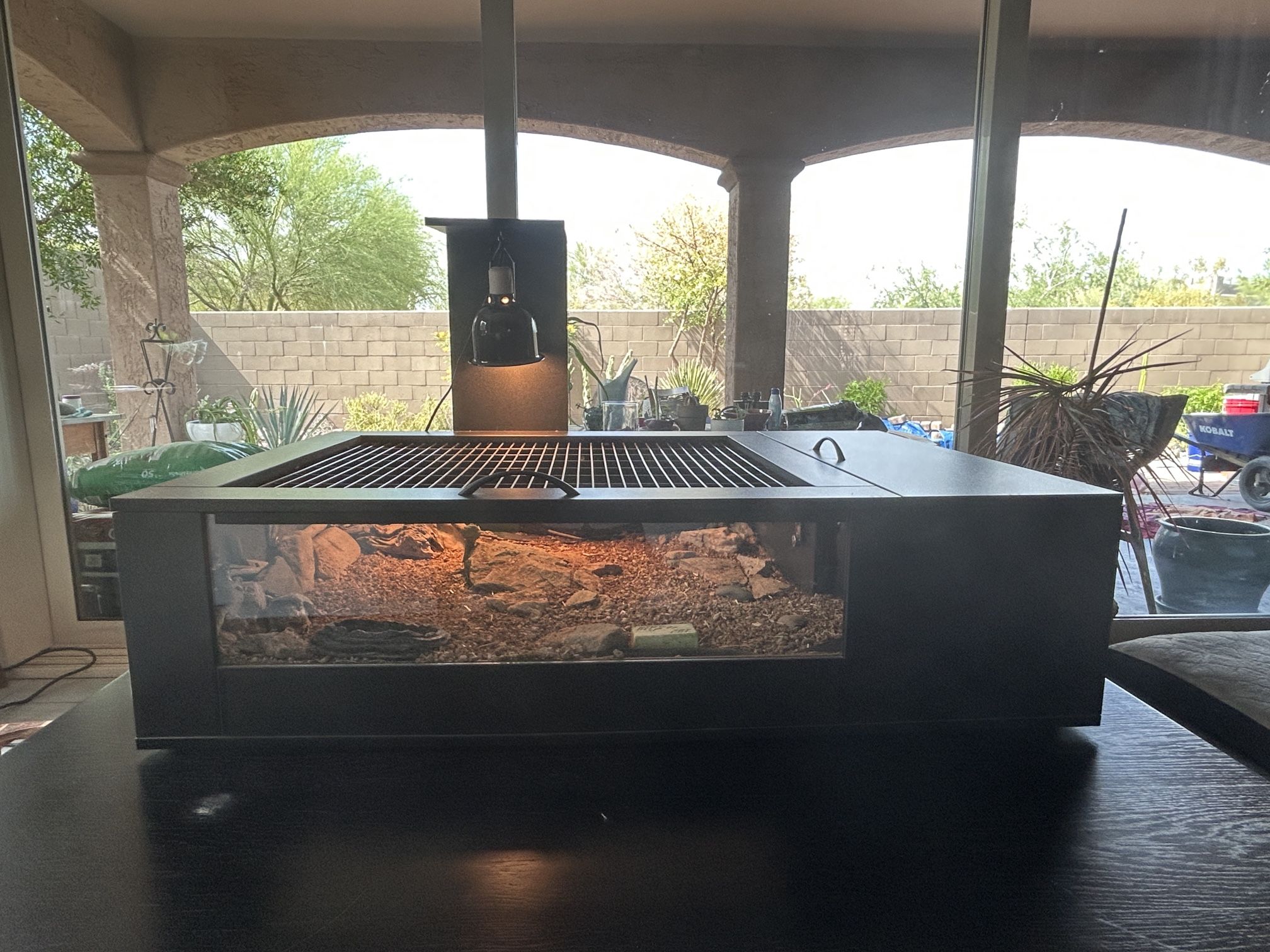 Tortoise Palace & Reptile Lights