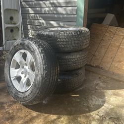 Dodge Stocks