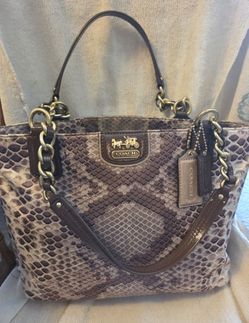 Coach Madison tote python print