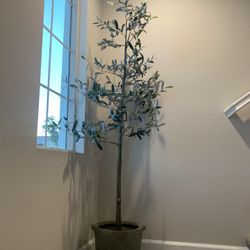 Faux Olive Tree
