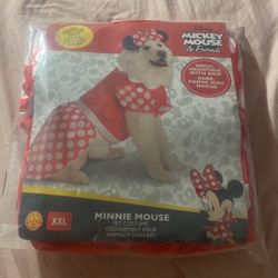 Minnie Mouse Costume for Dog