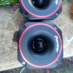 Pioneer Tweeters 