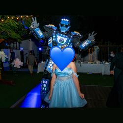Blue Quince Dress