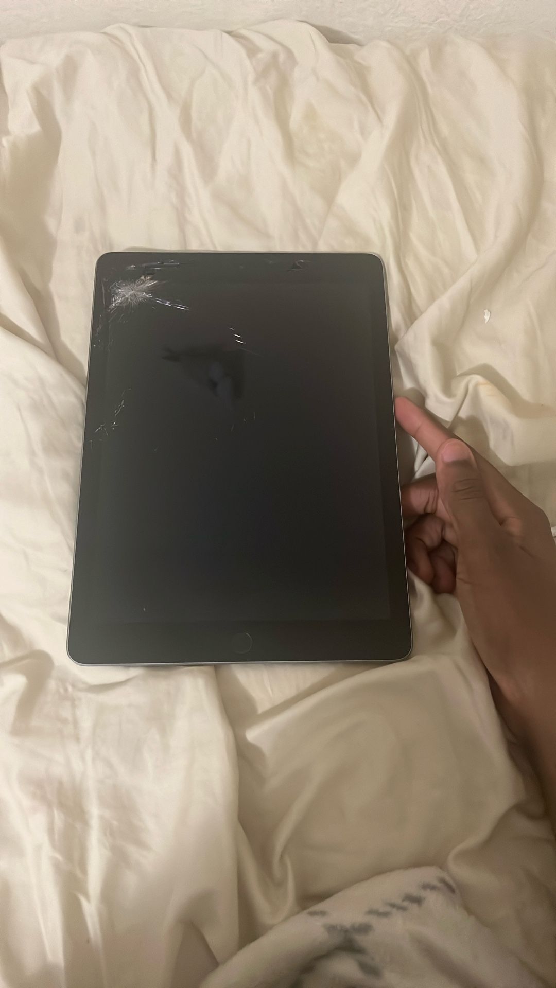 iPad