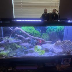 120 Gallon Tank With Accessories 