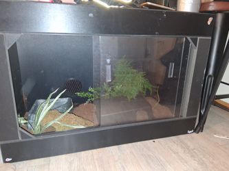 Reptile tank