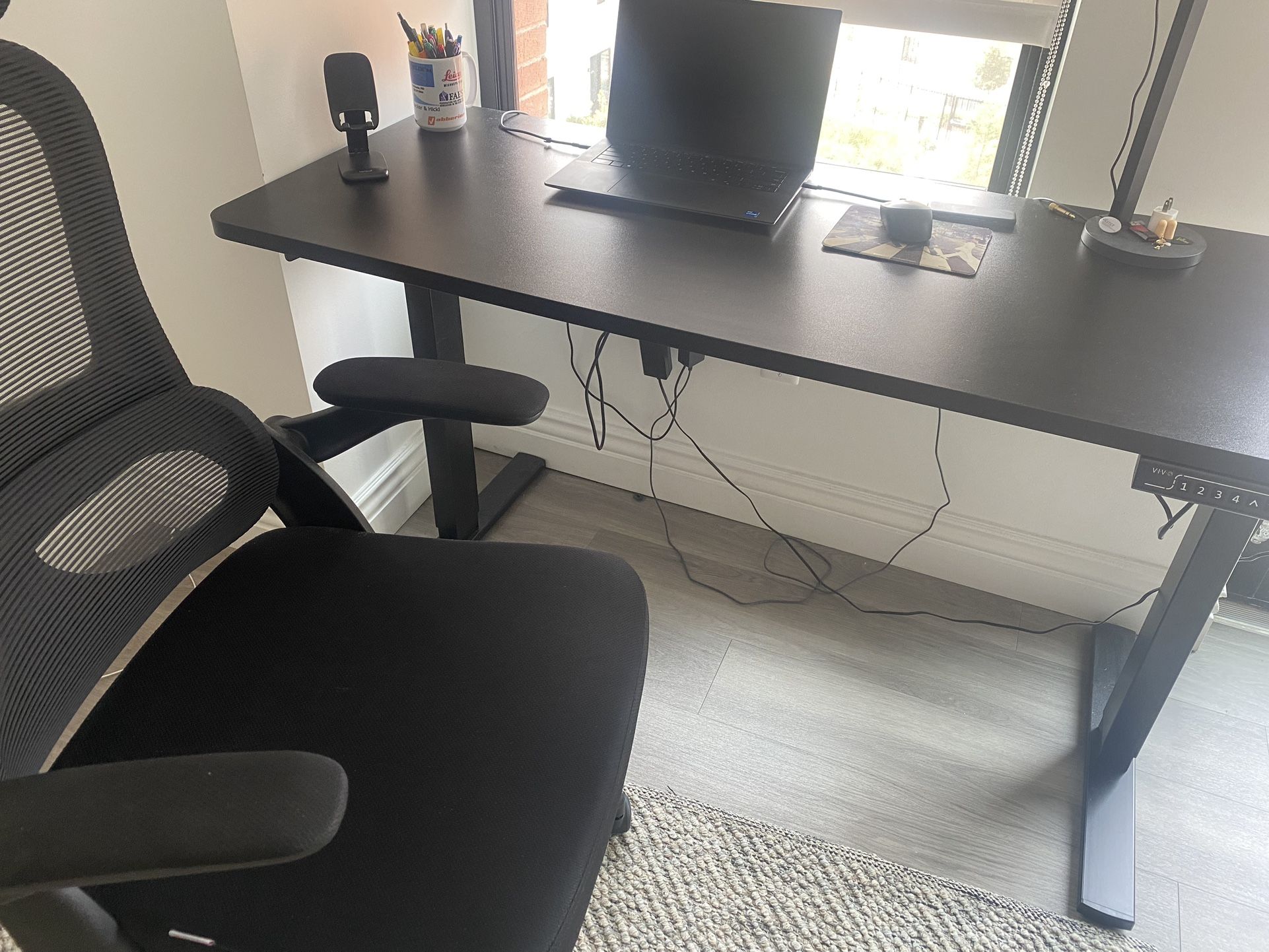 Stand-up Electronic Desk w FREE desk Chair
