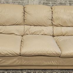 Couch/Sofa 