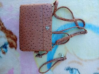 Brown Crossbody Bag