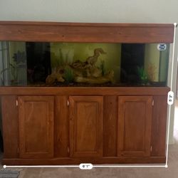 180 Gal. Fish Tank