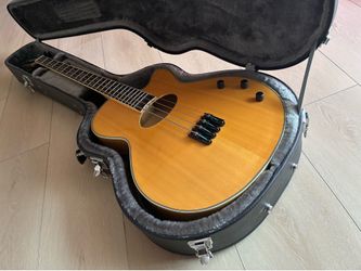 Washburn AB40 Custom Stu Hamm Signature Acoustic Electric Bass natural.