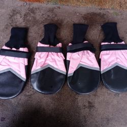 Big Dog Shoes 