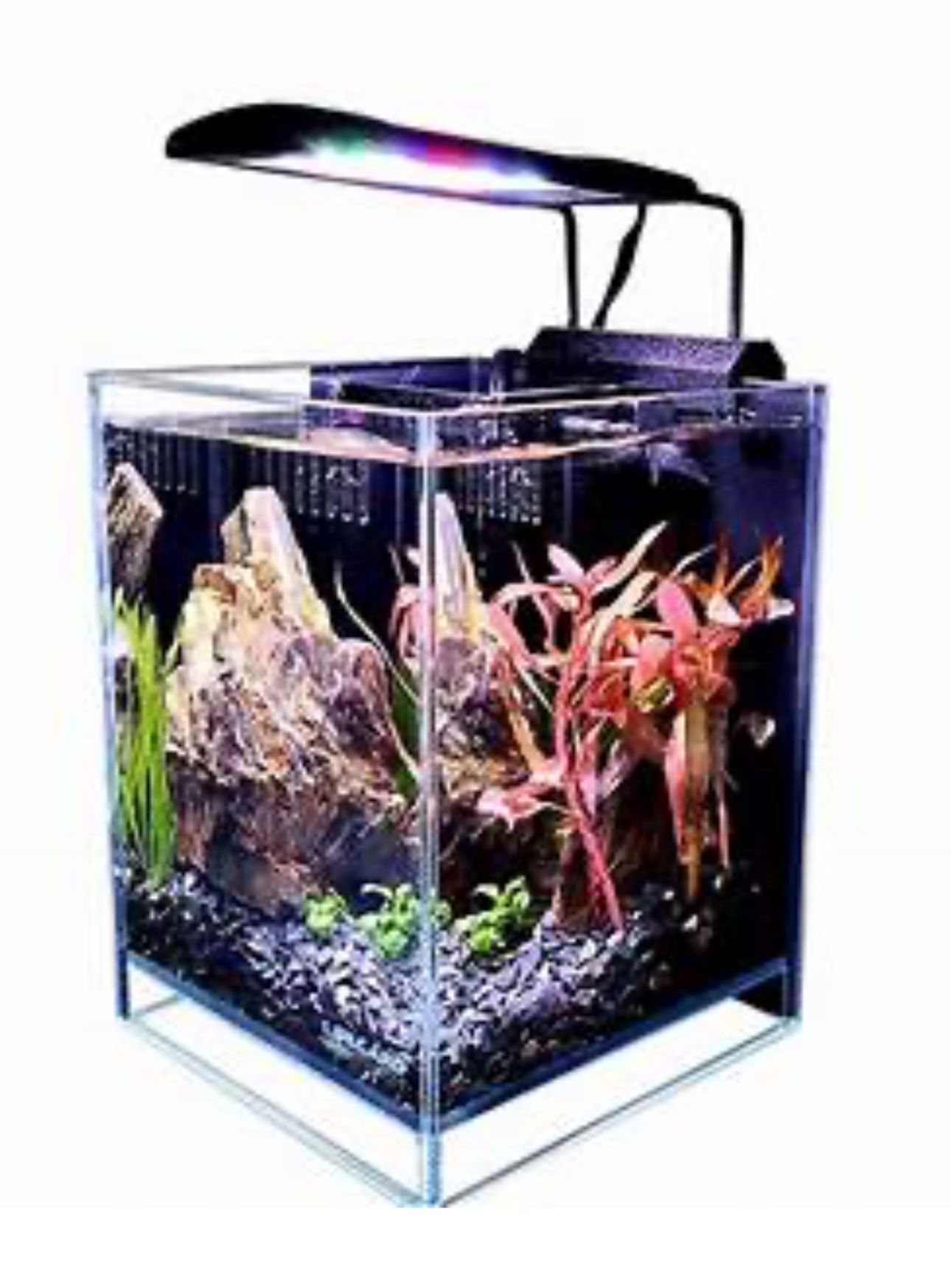 New Low Iron 2.65 Ultra-Clear Aquarium, Filter/Pump, W/ 5” Full-Spectrum LED Lighting