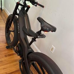 #Nireeka E-Bike#