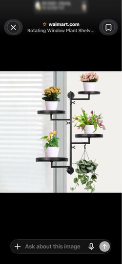 Wall mounted flower rack