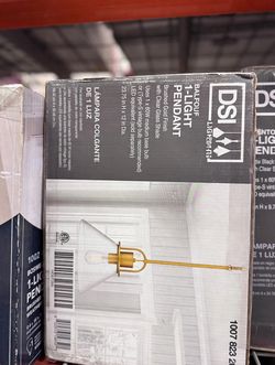 DSI Lighting Balfour 1-Light Pendant Brushed Gold Clear Seedy Glass - HD6709A
