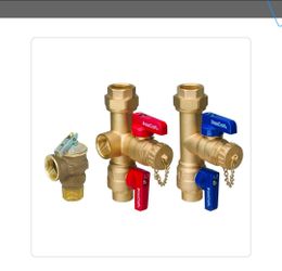 Tankless water heater service valves