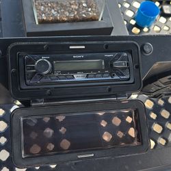 Swamp Donkey Stereo System 