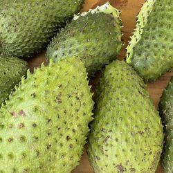 Soursop GUANÁBANA 