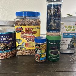 Brand New Turtle Stuff!!!