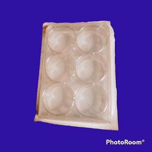 6 Cell Flat Bottoms With Lids