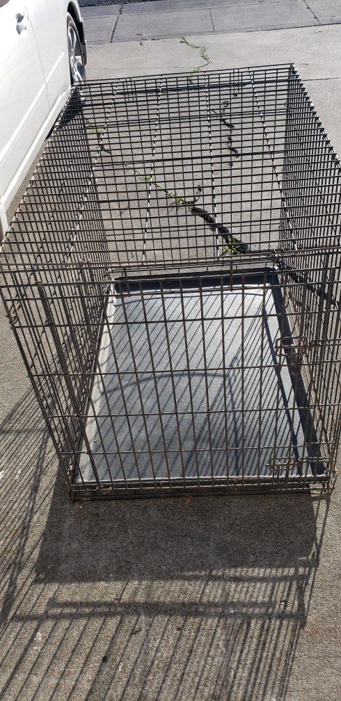Dog Crate 31.5 tall X 42 Wide
