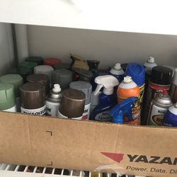 Painting Spray 