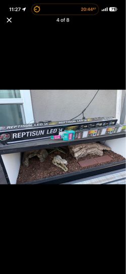Reptile enclosure
