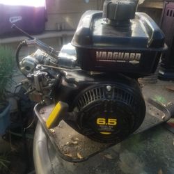 6.5 Briggs and Stratton Vanguard