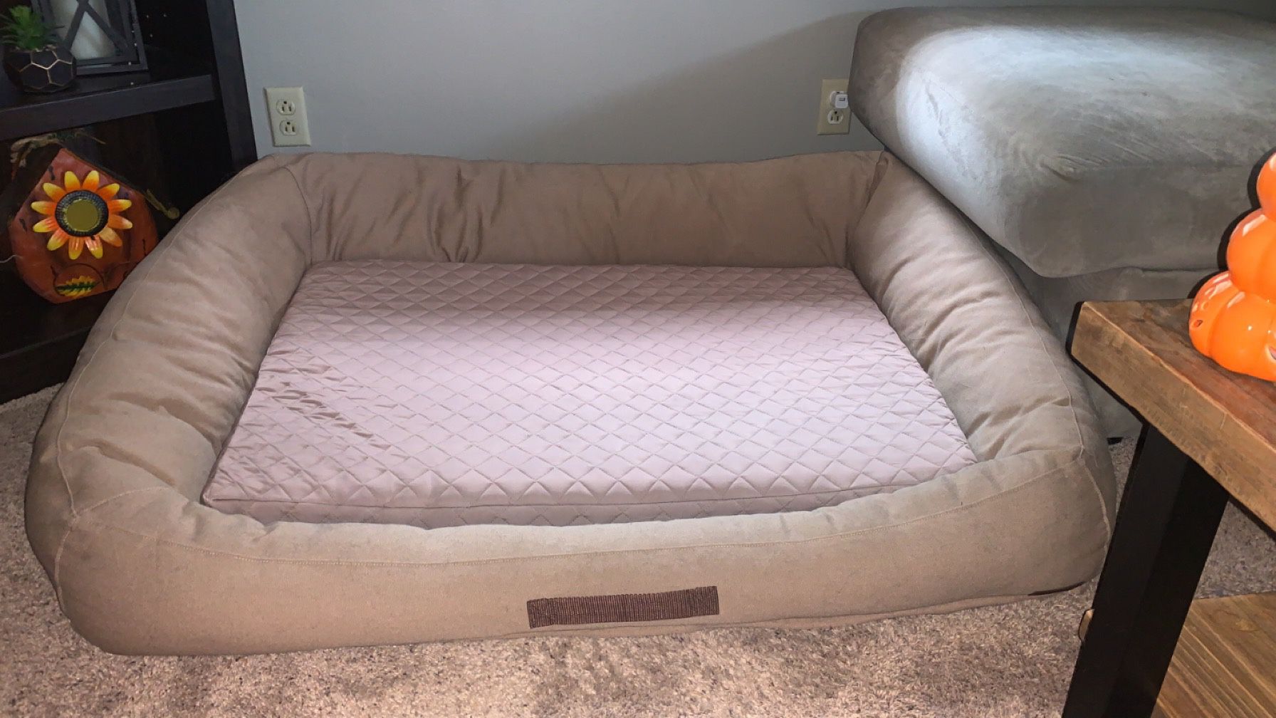 Tempur-pedic Extra Large Dog Bed 