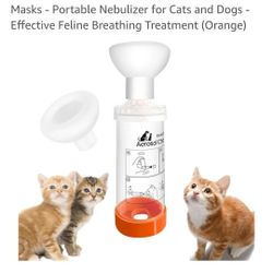 Cats Products 