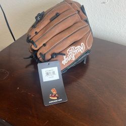Baseball Glove … For Left handed  Person 