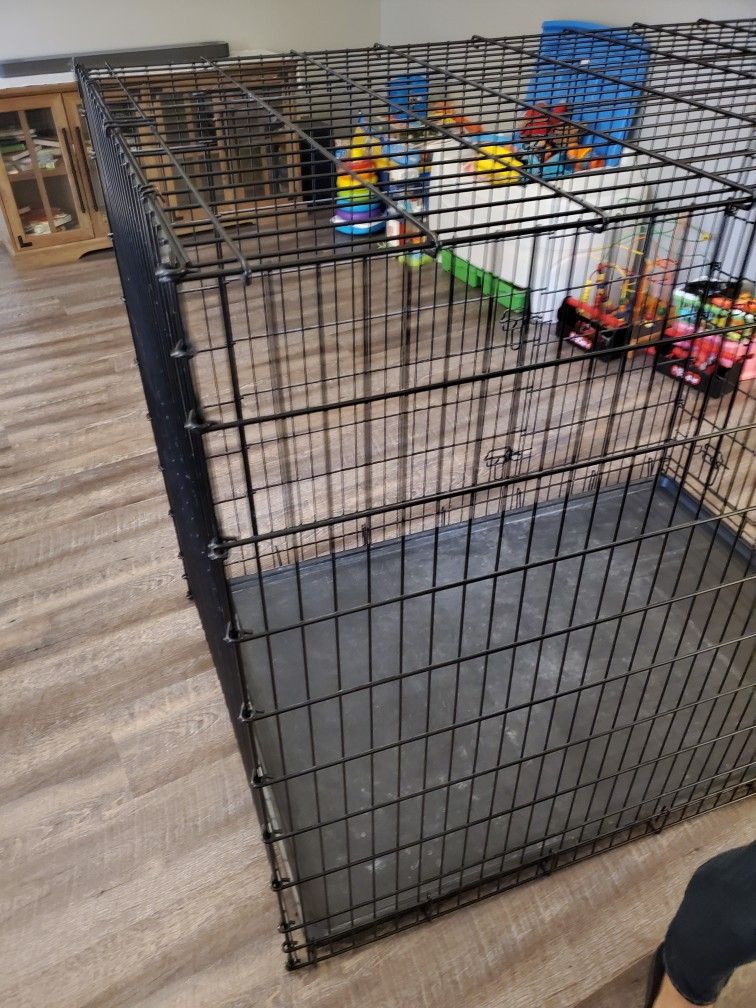 Chewy Frisco Brand Xxl Dog Crate
