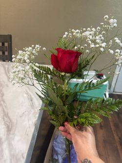 Roses